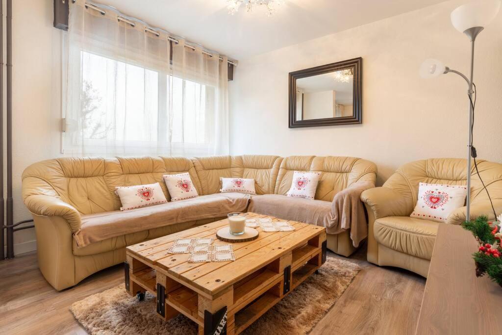Superbe Appartement Spacieux Avec Parking Gratuit Illzach المظهر الخارجي الصورة