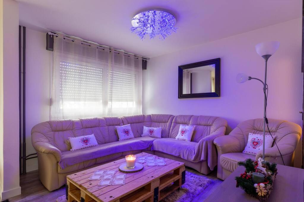 Superbe Appartement Spacieux Avec Parking Gratuit Illzach المظهر الخارجي الصورة